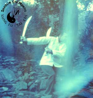 Double Sabers of Shaolin Kung Fu